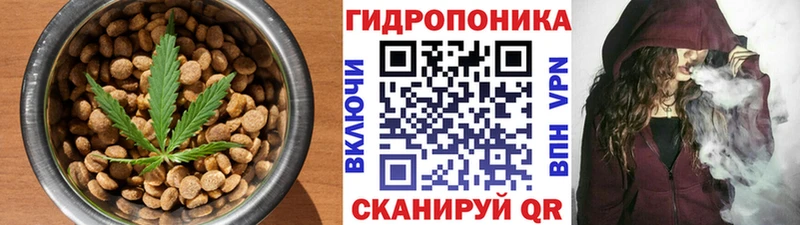 Cannafood конопля  Купить закладки  Короча 
