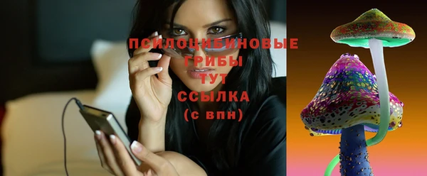 спиды Волосово
