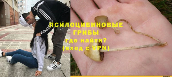 спиды Волосово