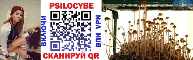 Псилоцибиновые грибы мухоморы  Купить закладки  Короча 